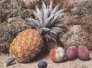 John Sherrin A Pineapple,a Peach and Plums on a mossy Bank (mk37) Sweden oil painting artist